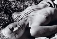 sn_feininger.jpg