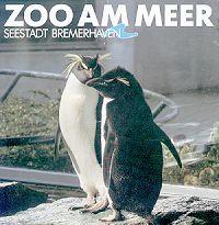 zoomeer.jpg