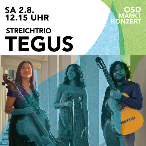 Marktkonzert: Tegus Streichtrio
