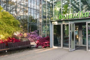 afterwork bloom