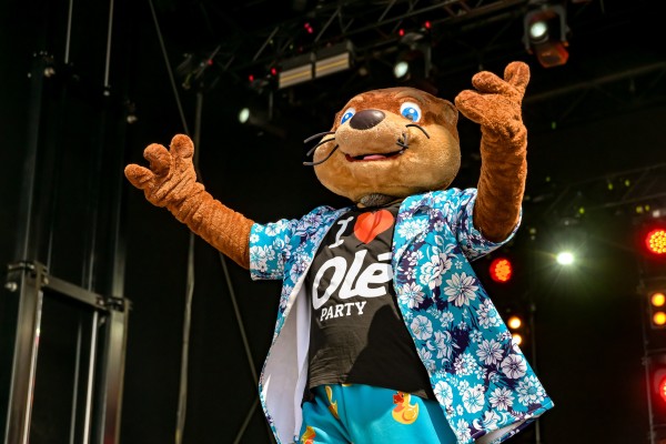 bremen ole