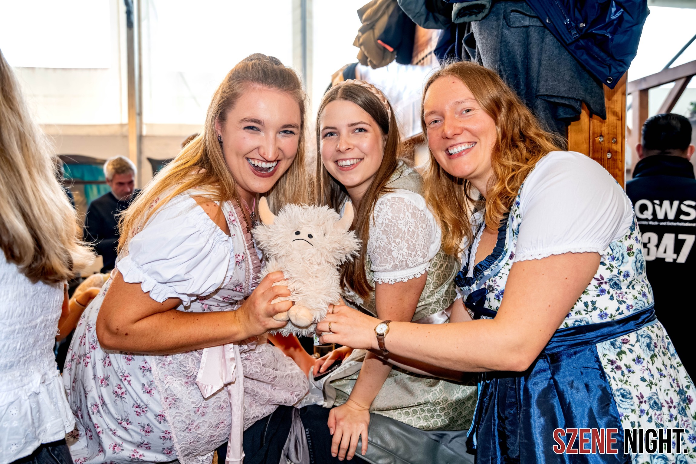 bayernzelt t5 bayernzelt t5