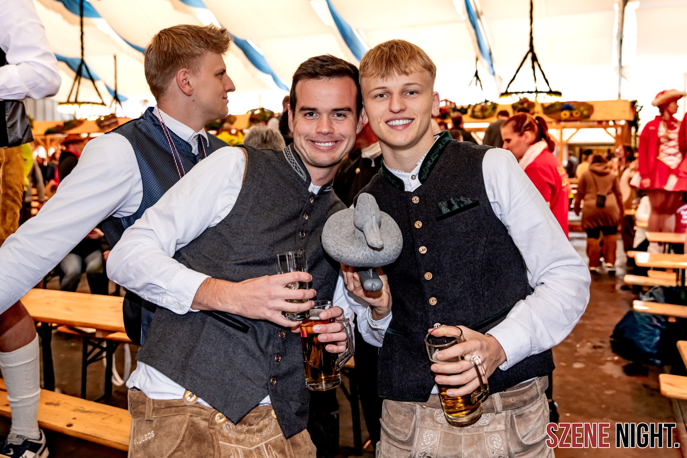 bayernzelt t5 bayernzelt t5