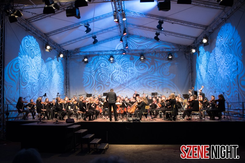 Musik und Licht am Hollersee Szenenight