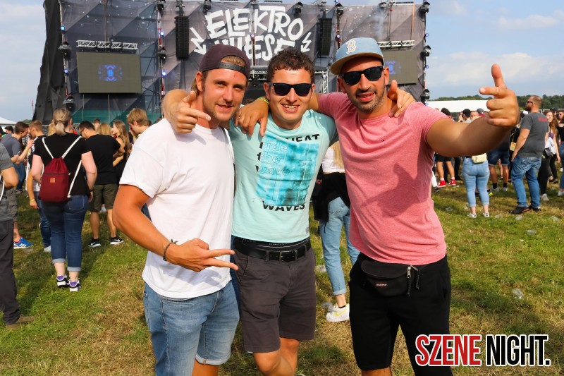 0010 ElectroWiese 0010 ElectroWiese