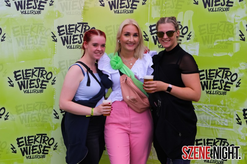 0021 ElectroWiese 0021 ElectroWiese