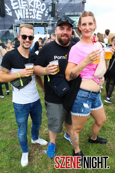 0022 ElectroWiese 0022 ElectroWiese