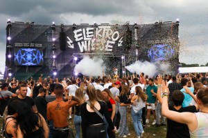 0025 ElectroWiese