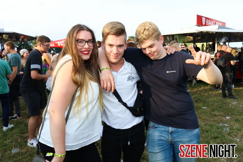 0036 ElectroWiese 0036 ElectroWiese