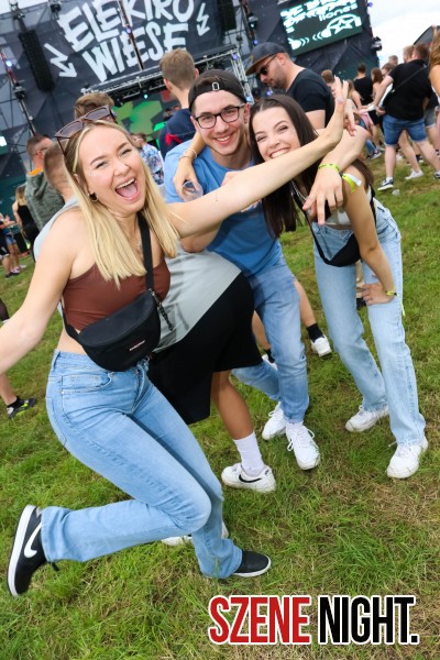 0040 ElectroWiese 0040 ElectroWiese