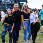 0055 ElectroWiese 0055 ElectroWiese