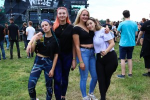 0055 ElectroWiese 0055 ElectroWiese