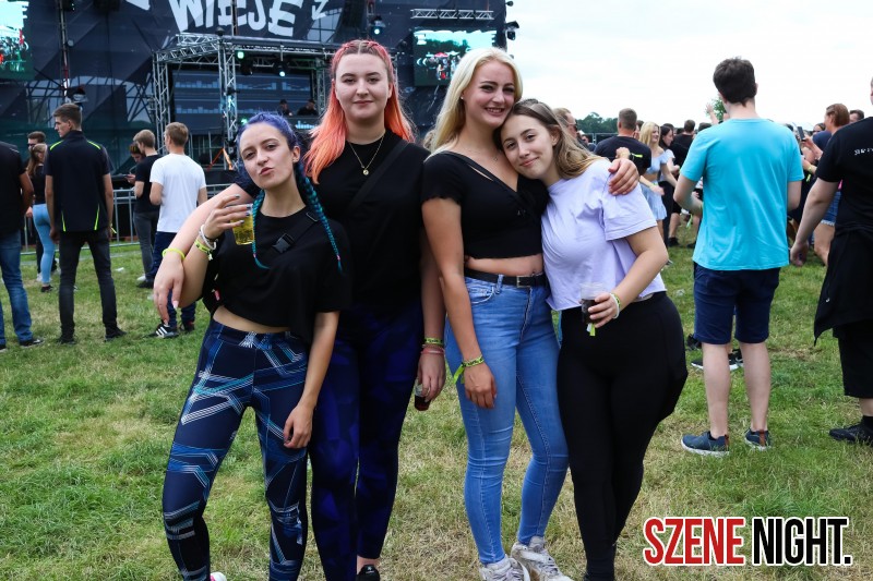 0055 ElectroWiese 0055 ElectroWiese