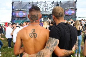 0057 ElectroWiese 0057 ElectroWiese