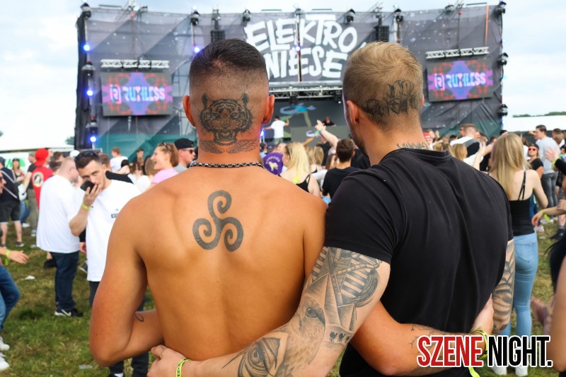 0057 ElectroWiese 0057 ElectroWiese