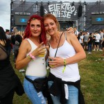 0060 ElectroWiese 0060 ElectroWiese