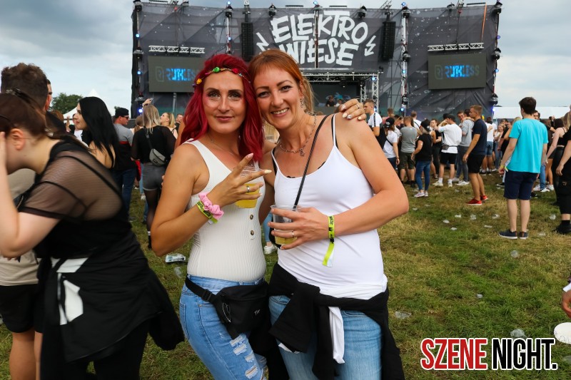 0060 ElectroWiese 0060 ElectroWiese