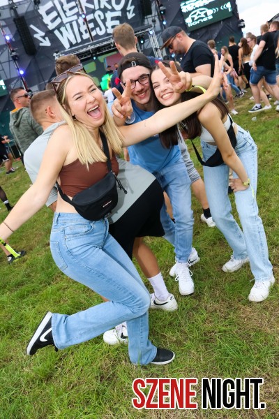 0073 ElectroWiese 0073 ElectroWiese