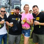 0074 ElectroWiese 0074 ElectroWiese