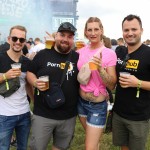 0075 ElectroWiese 0075 ElectroWiese