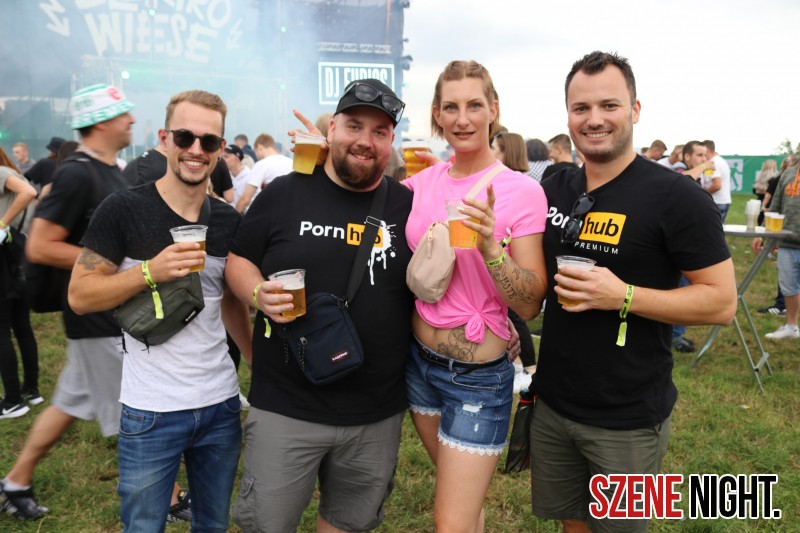 0075 ElectroWiese 0075 ElectroWiese