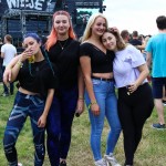 0080 ElectroWiese 0080 ElectroWiese