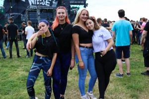 0080 ElectroWiese 0080 ElectroWiese