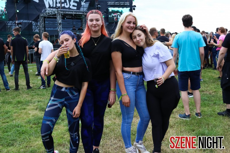 0080 ElectroWiese 0080 ElectroWiese