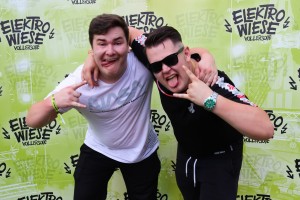 0084 ElectroWiese 0084 ElectroWiese