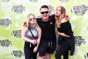 0085 ElectroWiese 0085 ElectroWiese