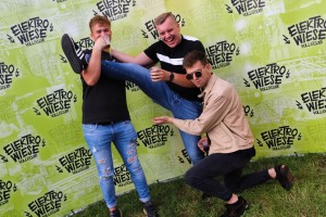 0087 ElectroWiese 0087 ElectroWiese