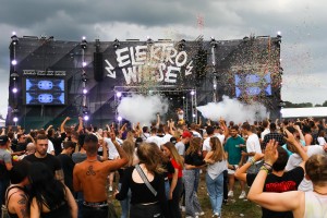 0099 ElectroWiese 0099 ElectroWiese