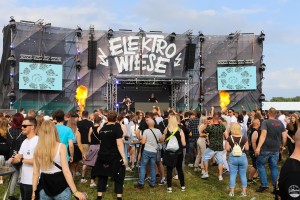 0100 ElectroWiese 0100 ElectroWiese