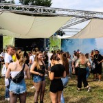 0005 Electro Wiese