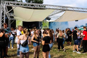 0005 Electro Wiese
