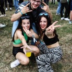 0007 Electro Wiese