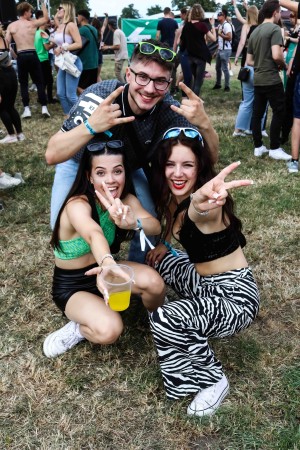 0007 Electro Wiese
