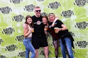 0013 Electro Wiese