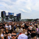 0016 Electro Wiese