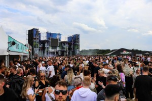 0016 Electro Wiese