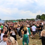 0018 Electro Wiese