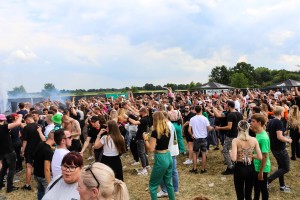 0018 Electro Wiese