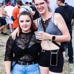 0020 Electro Wiese