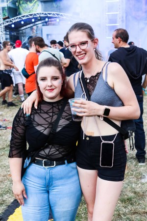 0020 Electro Wiese