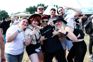 0023 Electro Wiese