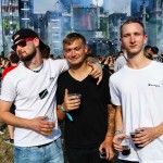 0027 Electro Wiese