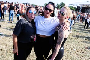 0028 Electro Wiese