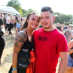 0033 Electro Wiese