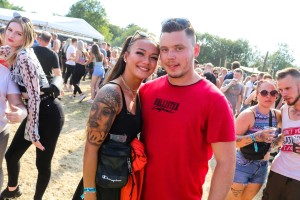 0033 Electro Wiese