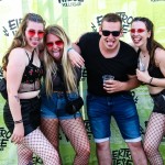 0036 Electro Wiese